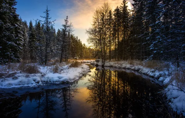 Картинка зима, лес, река, утро