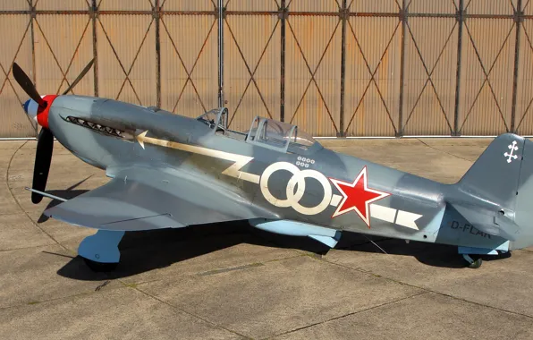 Картинка истребитель, советский, одномоторный, Як-3, Yak-3