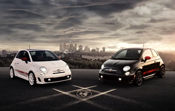 Белый, черный, автомобиль, 2012, Abarth