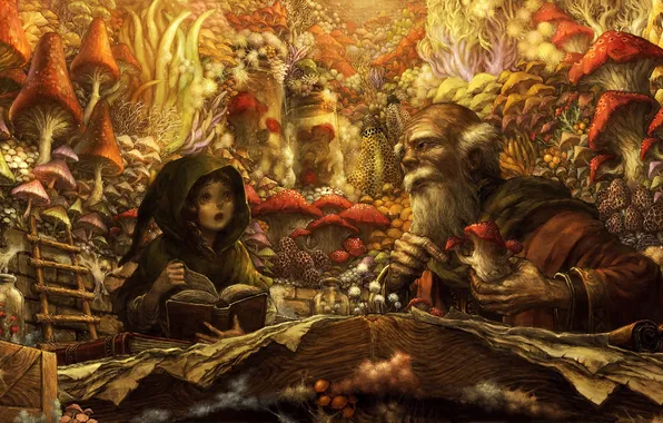 Картинка девушка, грибы, книги, арт, лестница, старик, Dragon's Crown