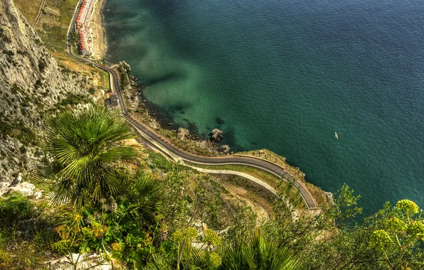 Картинка дорога, море, природа, скала, пальмы, побережье, Gibraltar, Гибралтар