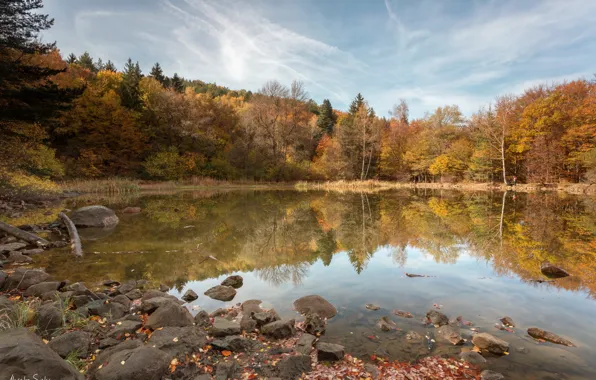 Картинка осень, лес, деревья, пейзаж, природа, озеро, отражение, камни