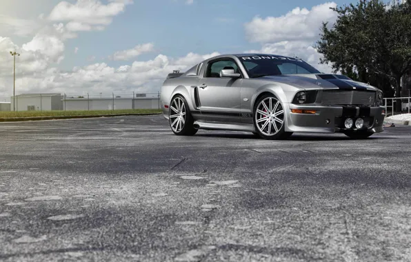 Mustang, Ford, muscle car, silvery, обвес, 550R