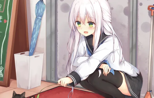 Девушка, котёнок, Kantai Collection, Флотская коллекция