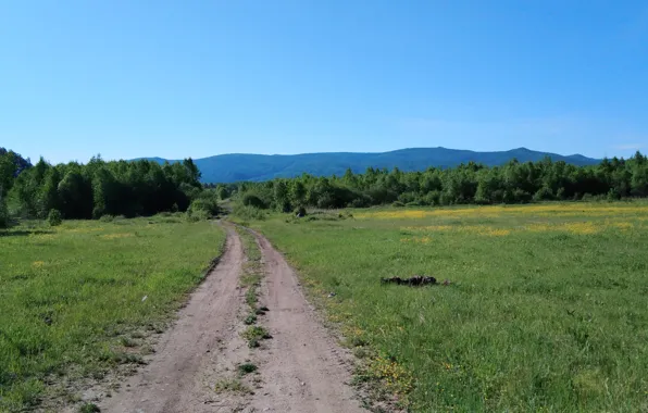 Небо, Дорога, Трава, Лес