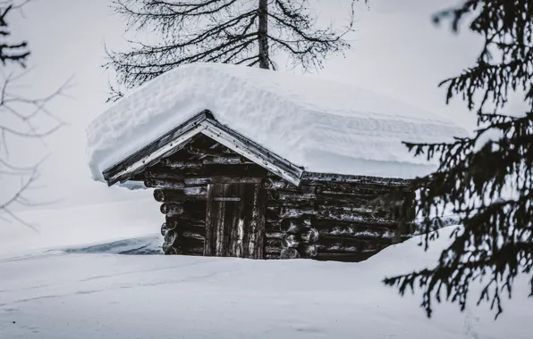 Картинка зима, снег, природа, сугробы, домик, хижина