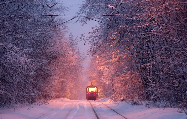 Зима, трамвай, winter, tram, Алексей Харитонов