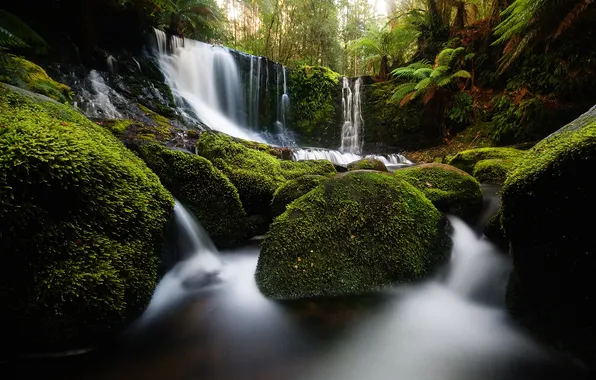 Картинка природа, камни, водопад, мох, Australia, Tasmania, Horseshoe Falls, Mount Field national park