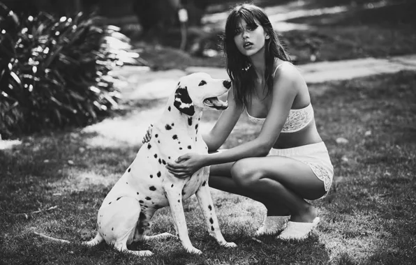 Картинка black&white, lingerie, dog, model, beauty, lips, look, dalmatian