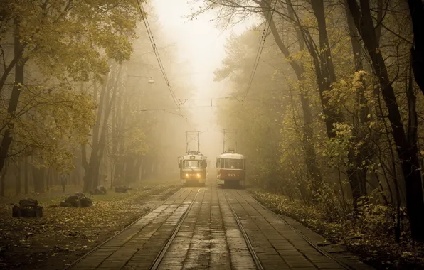 Картинка город, улица, трамвай