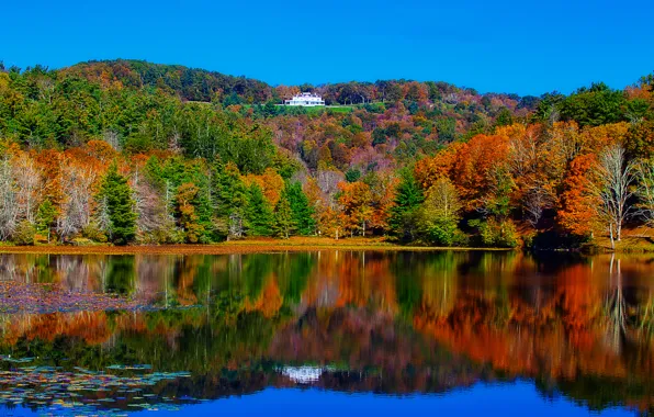 Картинка осень, лес, деревья, пейзаж, озеро, дом, отражение, река