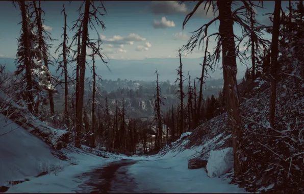 HDR, Horizon, Wood, Winter, Mountain, Game, Cold, UHD