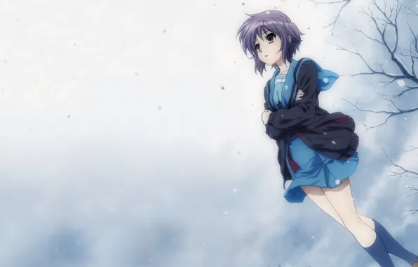 Обои холод, зима, девушка, снег, ветер, nagato yuki, suzumiya haruhi noyuutsu на телефон и рабочий стол, раздел прочее, разрешение 1920x1080 -скачать