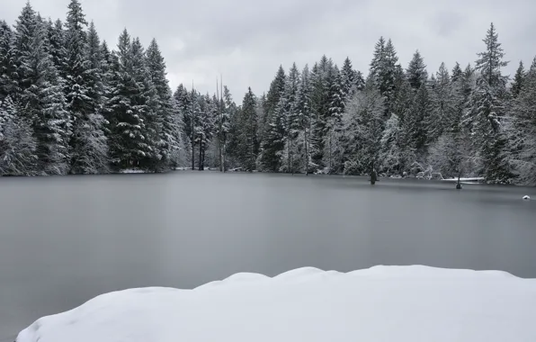 Зима, Озеро, Лёд, Winter, Ice, Lake, Trees