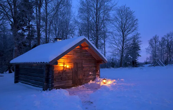 Картинка зима, лес, свет, снег, деревья, ночь, дом, фонарь
