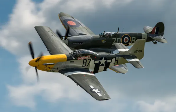 Картинка Mustang, истребители, P-51, Spitfire, Mk XVI