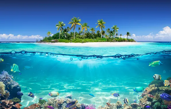 Песок, море, пляж, лето, небо, пальмы, summer, beach