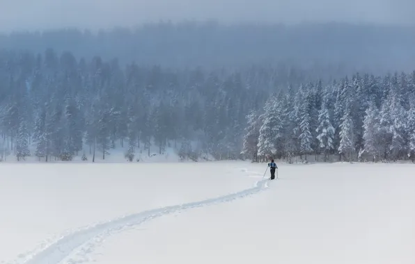 Картинка зима, поле, снег, человек