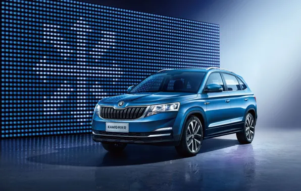 2018, кроссовер, Skoda, Kamiq