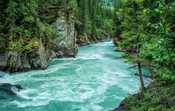 Картинка деревья, природа, скалы, поток, trees, nature, rocks, stream