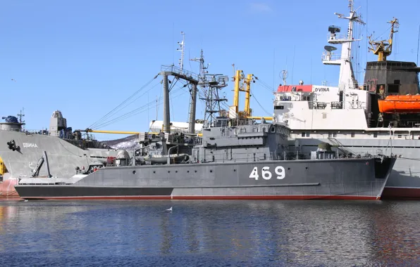 ВМФ, базовый, тральщик, проект 1265, Ядрин