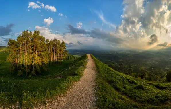 Ландшафт, Тропинка, холм, сосны