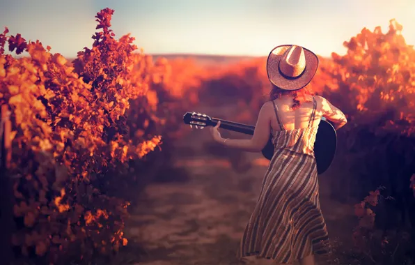 Картинка девушка, гитара, шляпа, виноградник