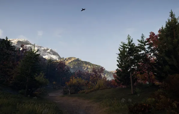 Пейзаж, природа, Games, Assassin's Creed, PlayStaion, Assassin's Creed Odyssey, Асасинс Крид Одиссея
