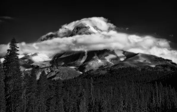 Картинка лес, облака, снег, горы, природа, вершины, черно-белое фото