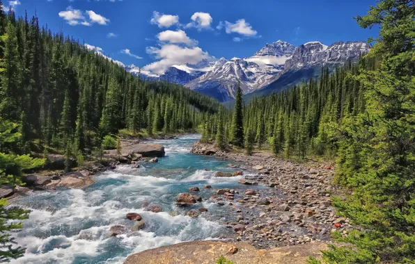Картинка лес, горы, река, Канада, Альберта, Banff National Park, Alberta, Canada