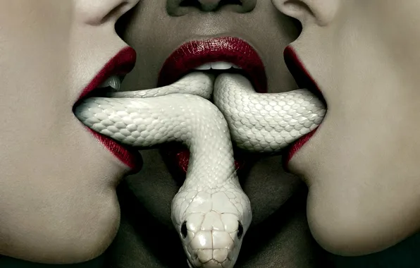 Сериал, American Horror Story, Третий сезон, Американская история ужасов