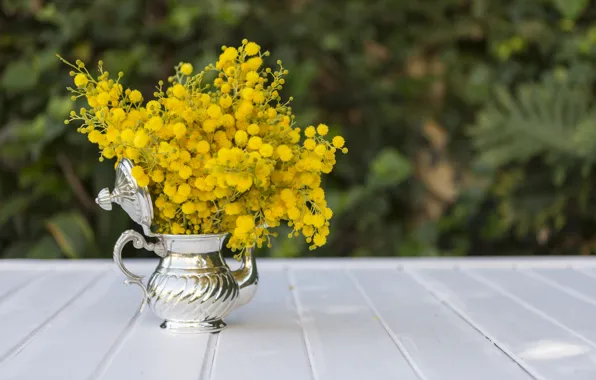 Цветы, букет, желтые, чайник, мимоза