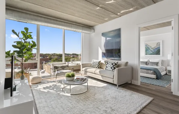 Интерьер, Chicago, спальня, гостиная, Apartment, Viridian on Sheridan