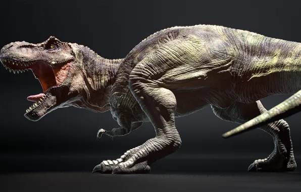 Динозавр, арт, ящер, Antoine Verney-Carron, T.REX