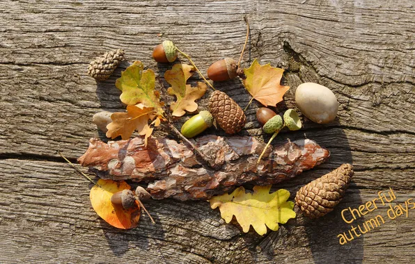Картинка осень, листья, кора, шишка, желудь, веселые дни осени, cheerful autumn days