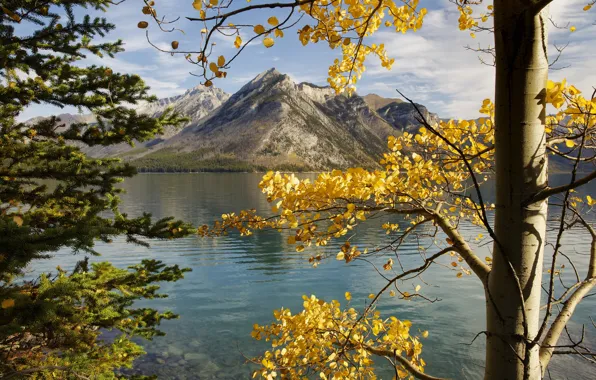 Картинка осень, небо, листья, деревья, горы, Канада, Альберта, озеро Минневанка