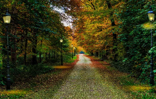 Осень, листья, деревья, парк, фонари, Нидерланды, тропинка, park