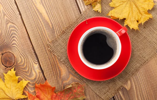 Картинка cup, чашка, клён, leaves, fall, autumn, coffee, осенние листья, осень, maple