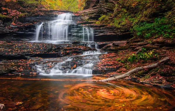 Осень, лес, природа, водопад