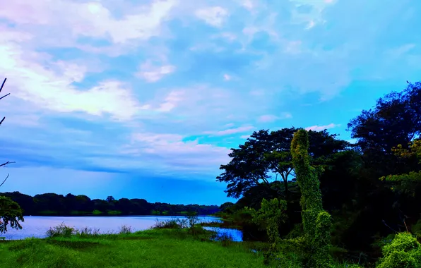 Clouds, Sky, Grass, Water, Sunrise, Dawn, Morning, Lake