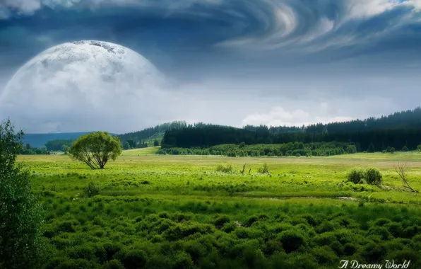 Картинка поле, лес, облака, луна, Dreamy World