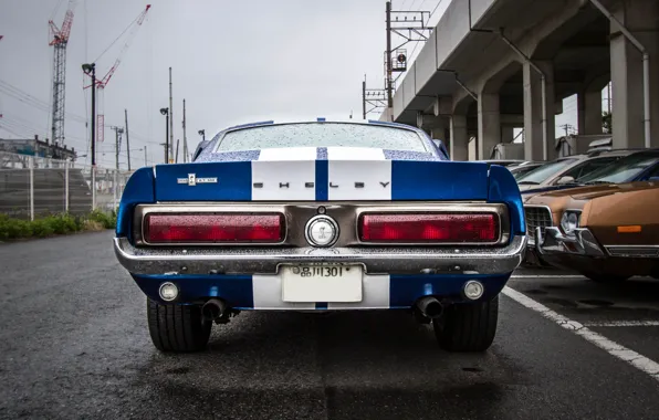 Mustang, Ford, Shelby, GT500, Eleanor, Muscle car