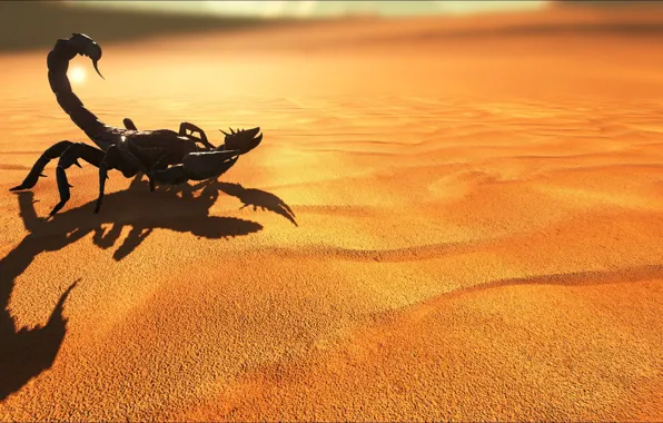 Game, scorpion, sand, suna, ARK Survival Evolved