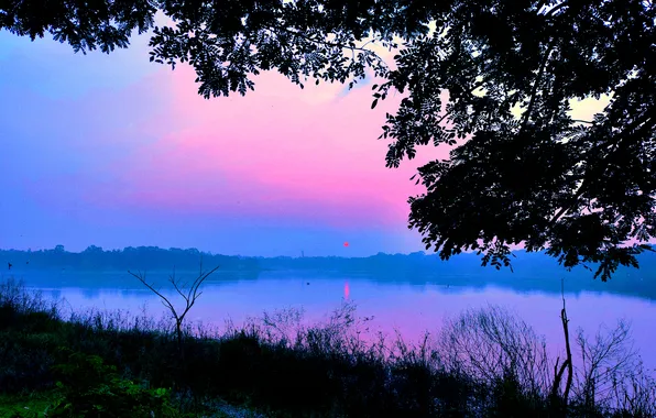 Sky, Sun, Water, Sunrise, Dawn, Morning, Lake, Trees