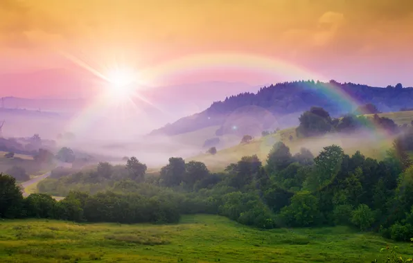 Картинка лес, солнце, деревья, горы, природа, радуга, rainbow, forest