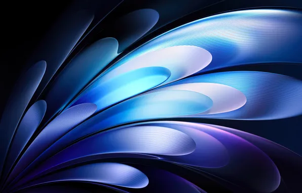 Dark, Blue, Abstract, Design, Digital Art, Feathers