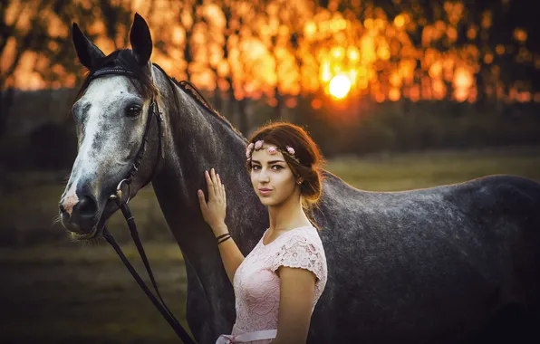 Поле, лес, девушка, солнце, закат, природа, парк, конь