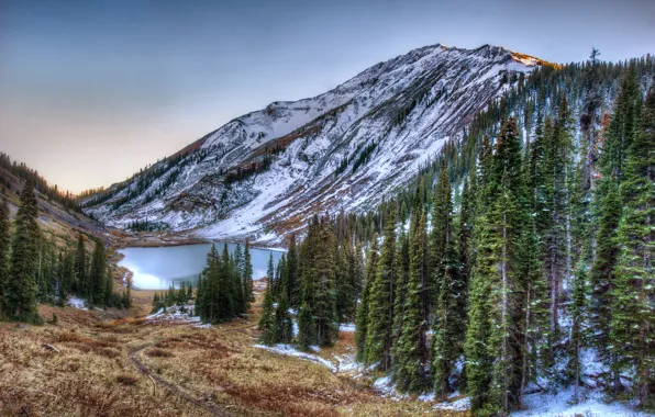 Картинка лес, горы, озеро