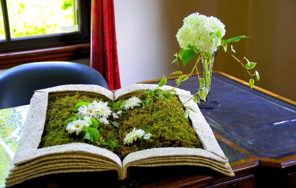 Цветок, трава, стол, растения, Книга
