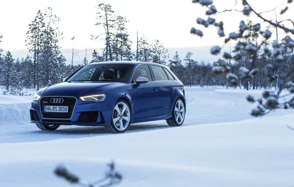Картинка фото, Audi, Зима, Синий, Снег, Автомобиль, Sportback, RS3